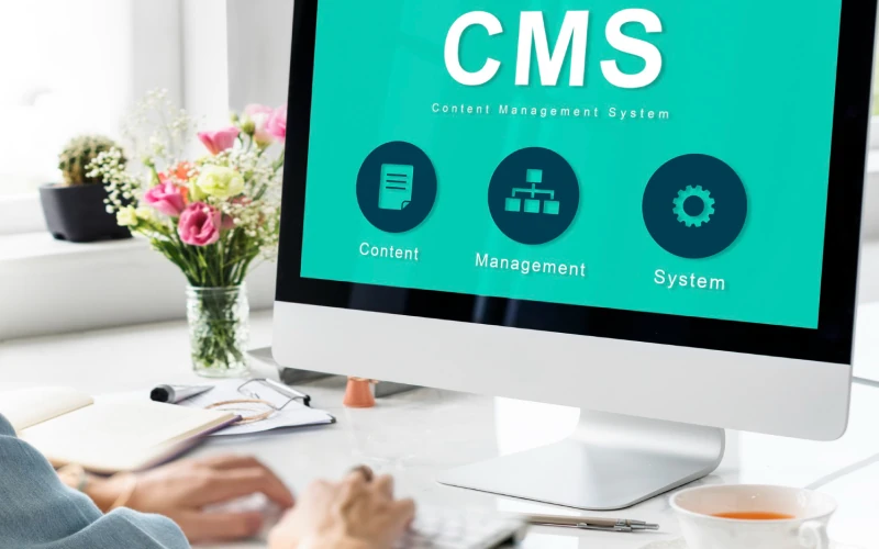 WordPress Development & Maintenance